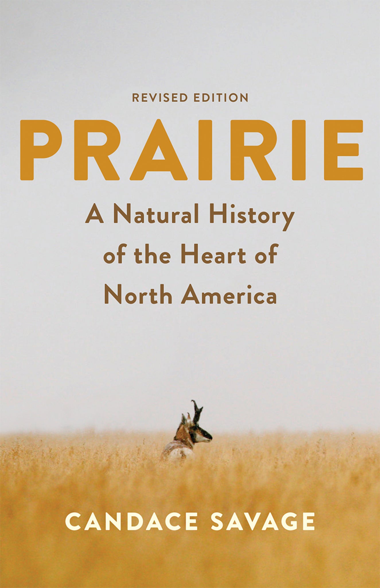 Cover image for Prairie ISBN 9781771645942